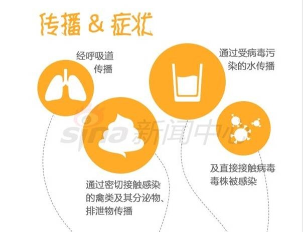 H7N9最新消息，深入了解2017年的禽流感状况