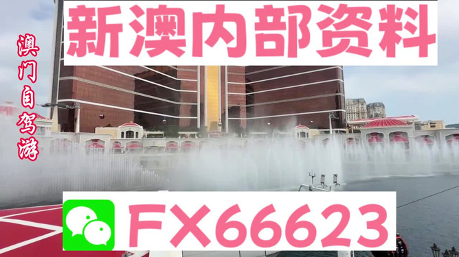 新澳内部一码精准公开|精选准确资料解释落实