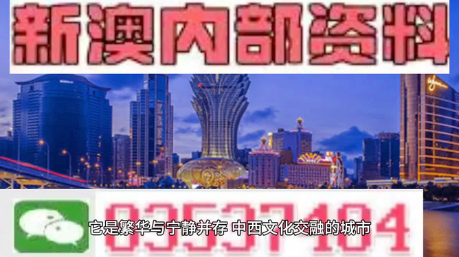 新奥长期免费资料大全|精选准确资料解释落实