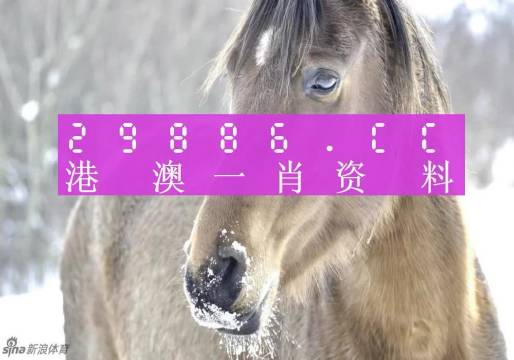 澳门一肖一码100准最准一肖|精选准确资料解释落实