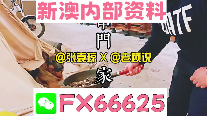 新澳门精准资料大全管家婆料|精选准确资料解释落实