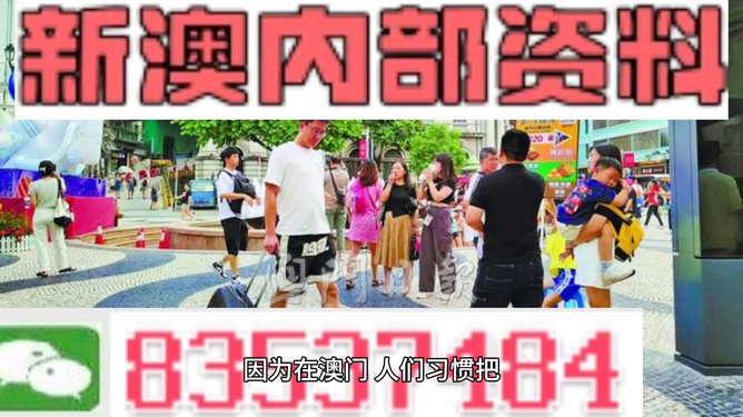 新澳2024正版资料免费公开|精选准确资料解释落实