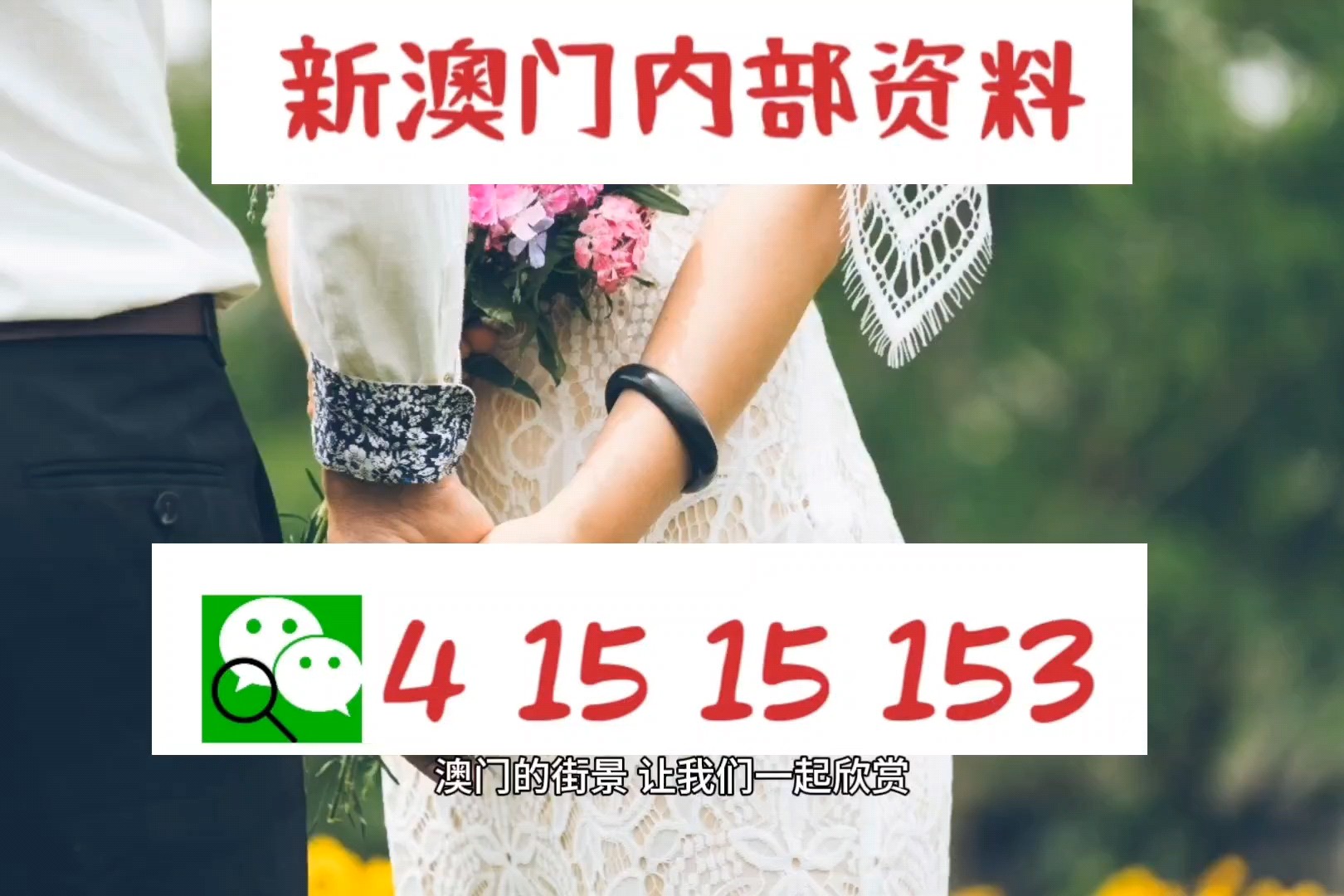 2024新澳门精准免费大全|精选准确资料解释落实
