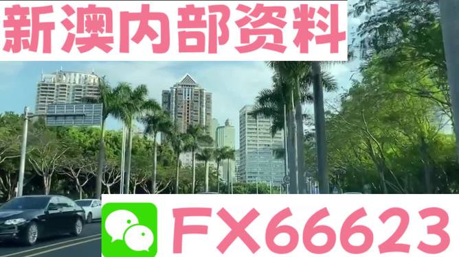新澳精准资料免费提供|精选准确资料解释落实