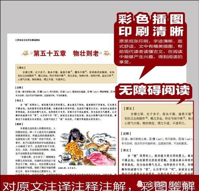 正版资料大全+免费|精选准确资料解释落实