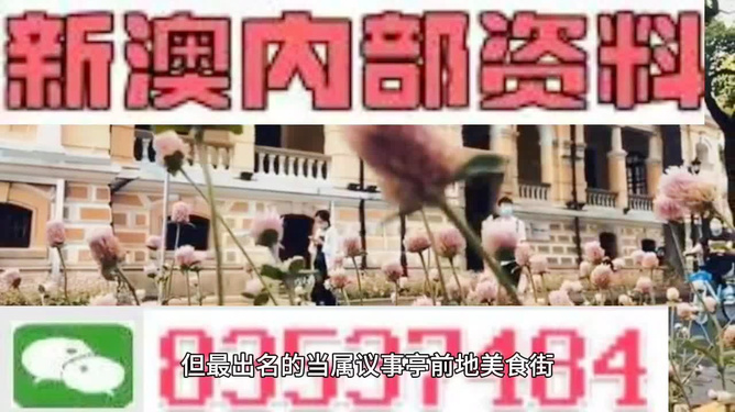 2024新澳今晚资料|精选准确资料解释落实