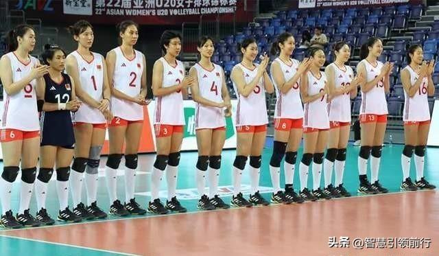 2024澳门天天彩期期精准|精选准确资料解释落实