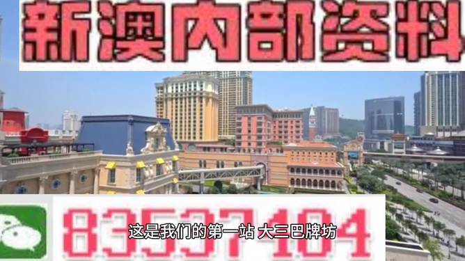 2024新澳正版免费资料|精选准确资料解释落实