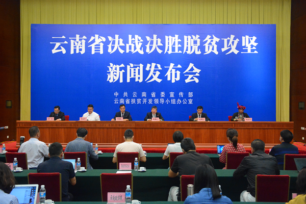 新奥资料免费期期精准|精选准确资料解释落实