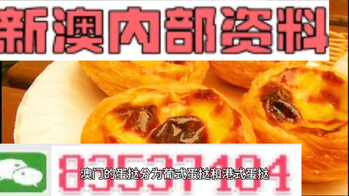 2024澳门精准正版免费大全|精选准确资料解释落实
