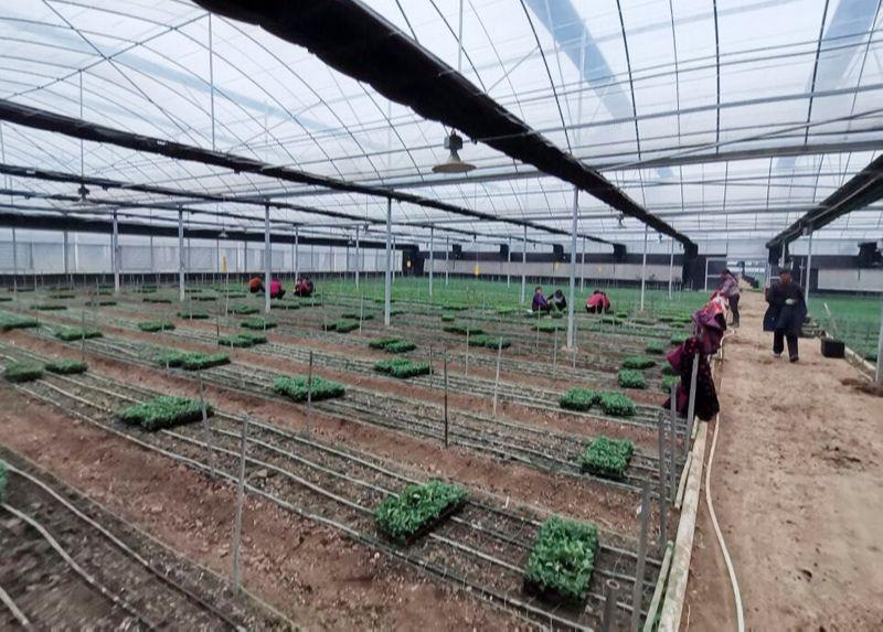 宿迁工厂招工最新消息