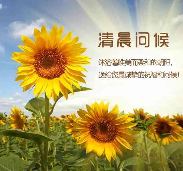 早上好最新的心语
