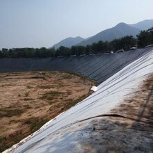中国化纤最新消息
