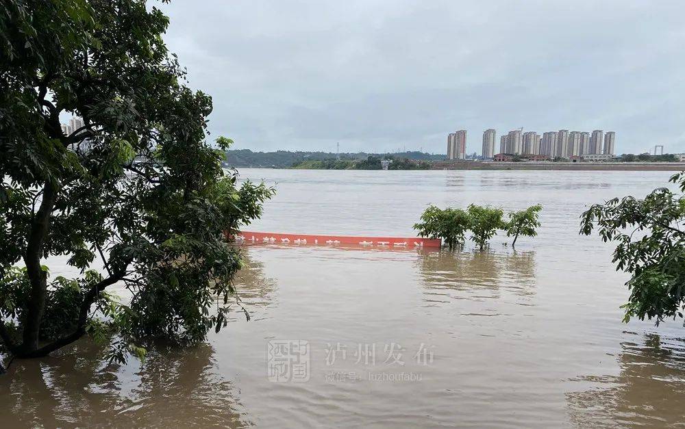 泸州长江水位最新视频