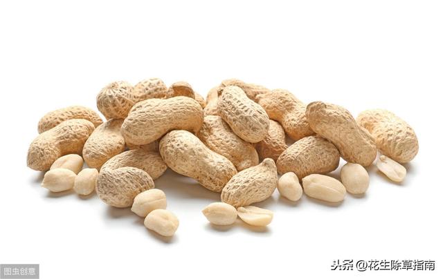 河南花生价格网最新行情