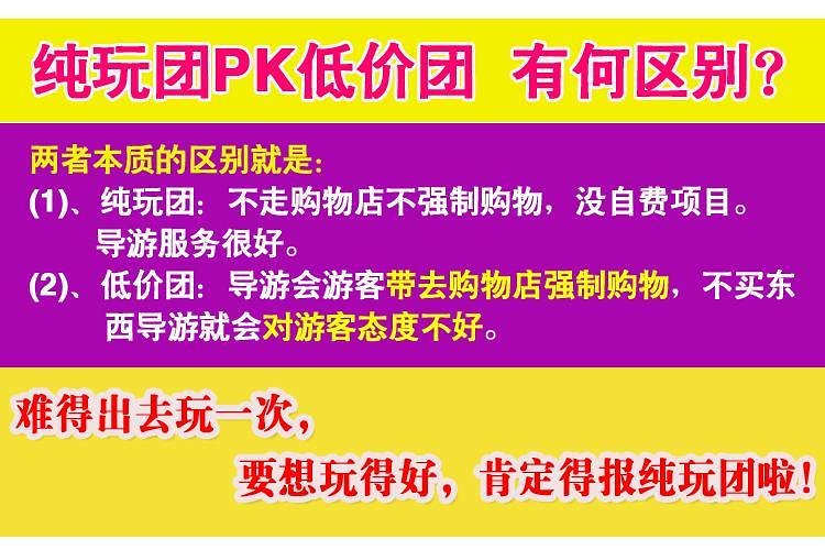 2024新澳天天彩资料免费提供|精选准确资料解释落实