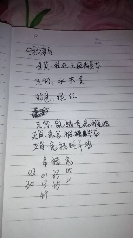 三肖必中特三肖三码的答案|精选准确资料解释落实