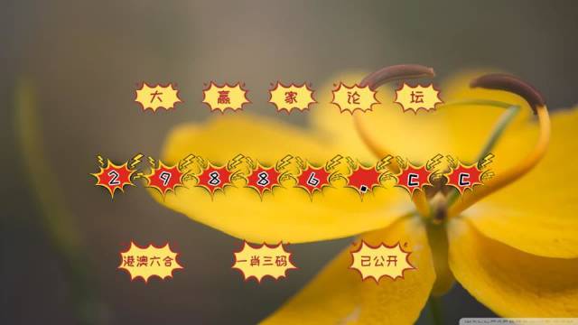494949澳门今晚开奖什么|精选准确资料解释落实