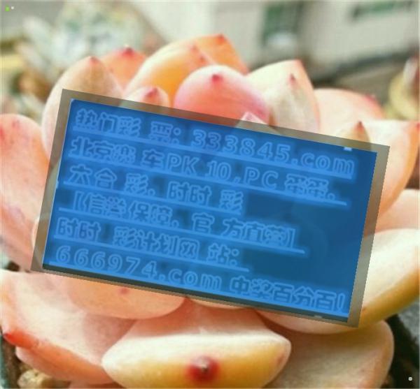 管家婆一码一肖100中奖|精选准确资料解释落实