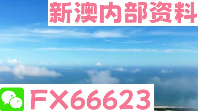 新澳资料大全2024年|精选准确资料解释落实