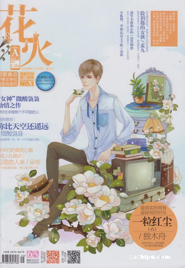 花火杂志最新一期期号