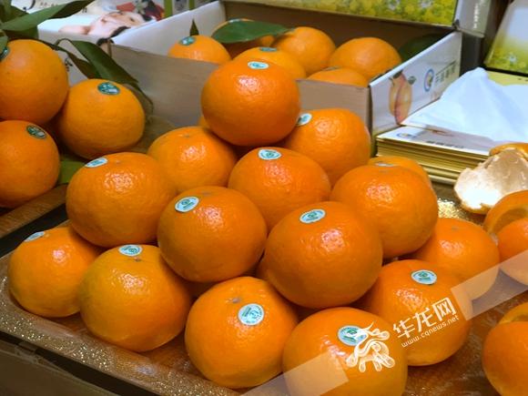 热门推荐 第418页