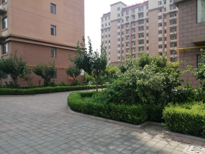 诸城新房出售最新消息