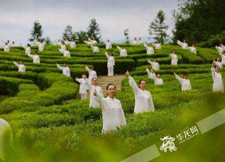 武隆白马山最新消息