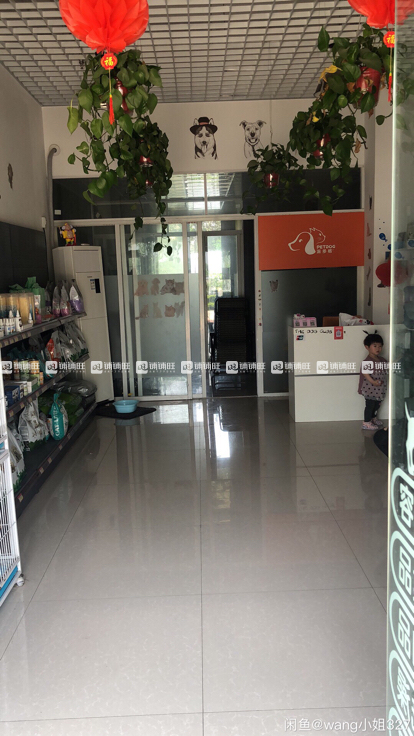 西安最新宠物店转让