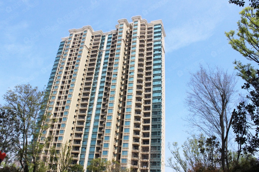 新闻头条 第407页