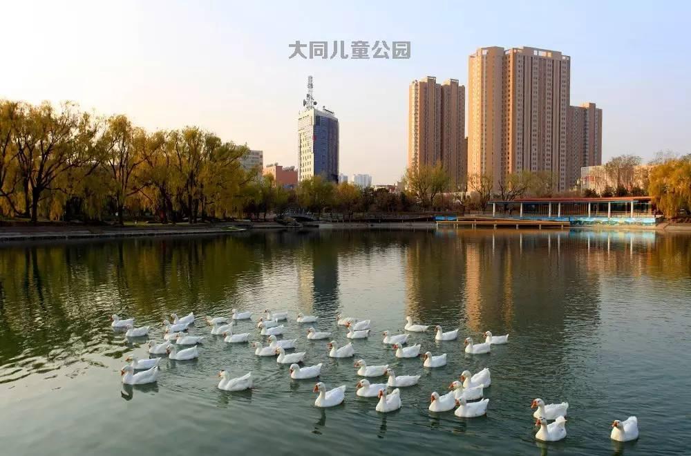 大同公园一号最新动态