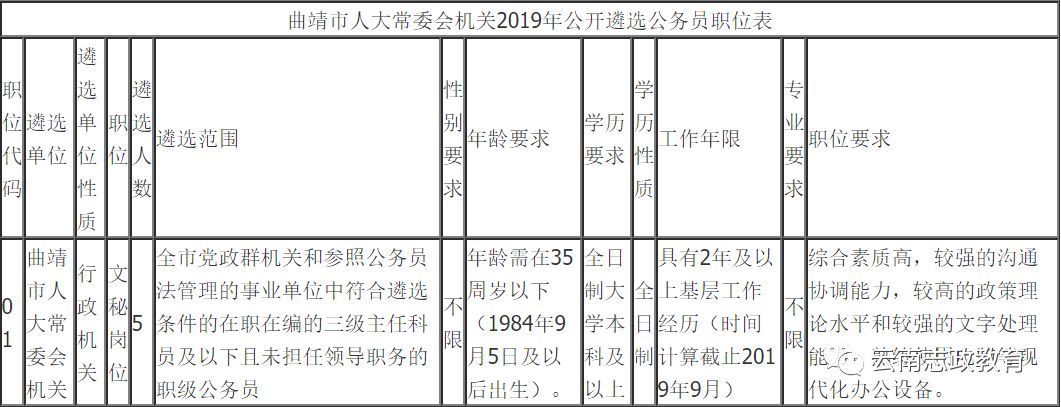 热门推荐 第411页