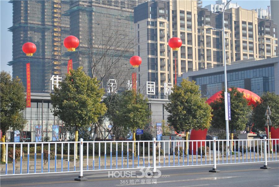 伟星金域国际最新动态