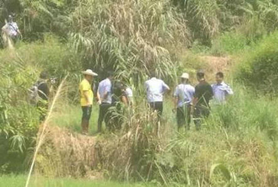 岑溪糯垌打架最新事件