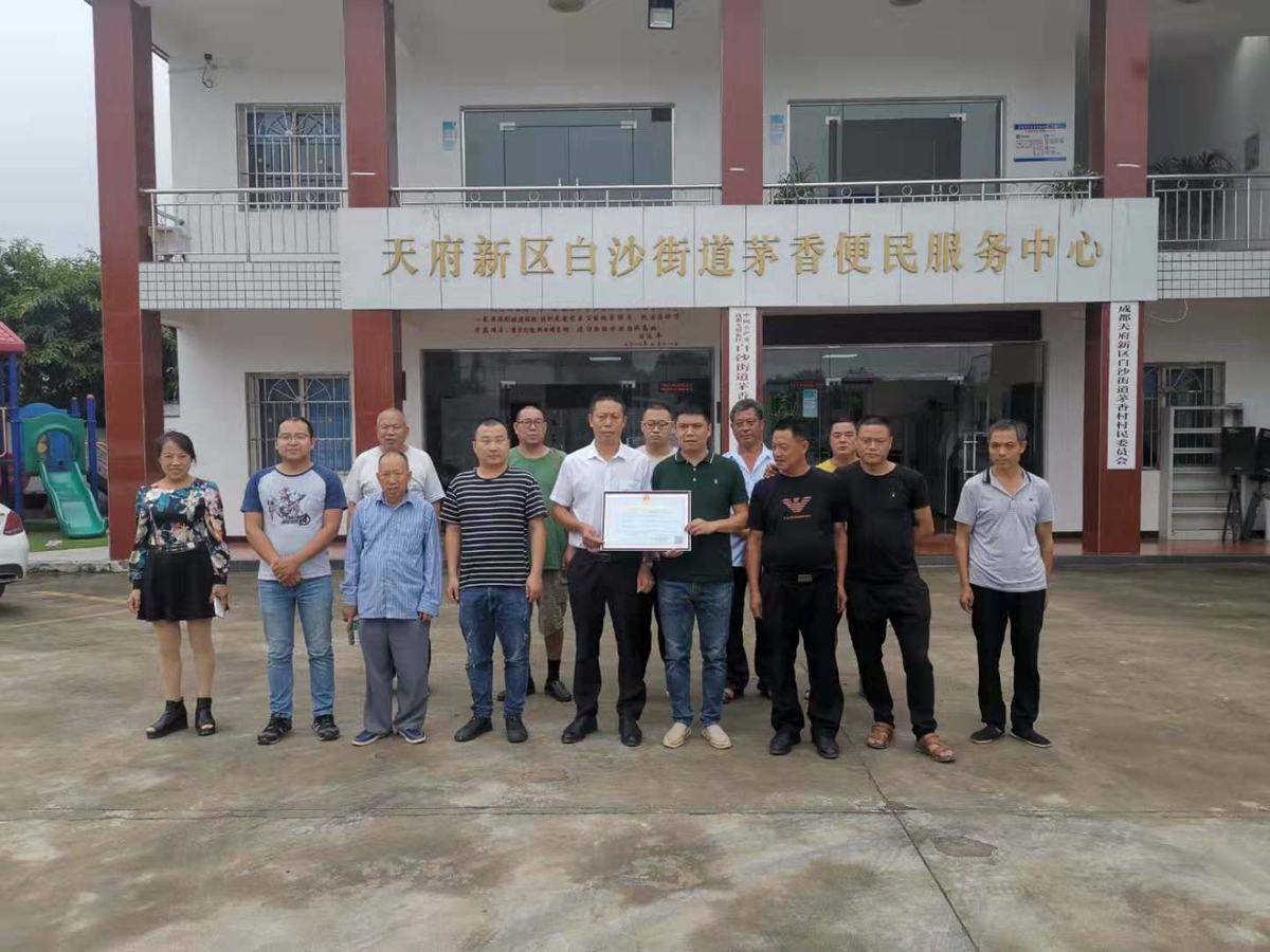 天府白沙镇最新消息