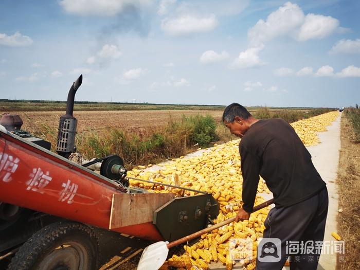 热门推荐 第402页