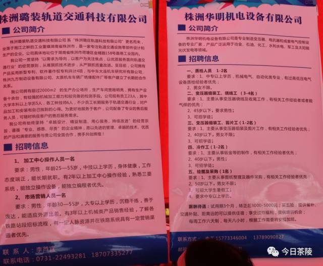 茶陵招聘网最新招聘