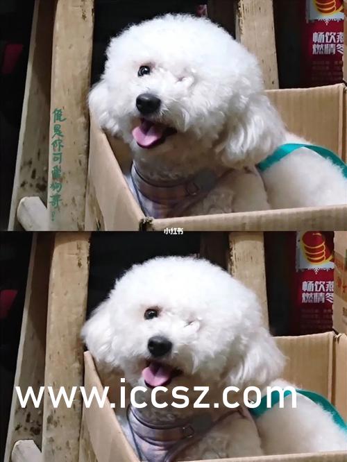 财经新闻 第379页