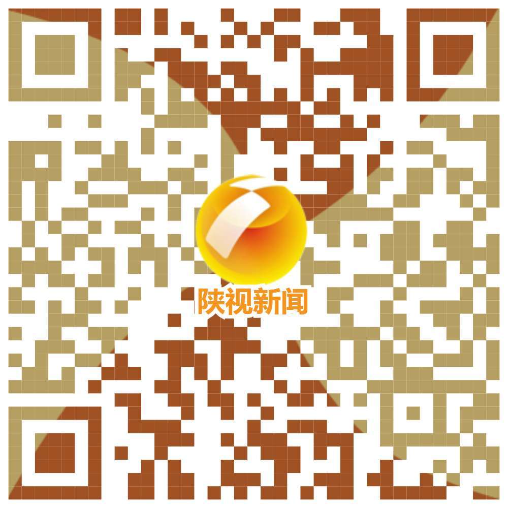 陕西一套今日点击最新