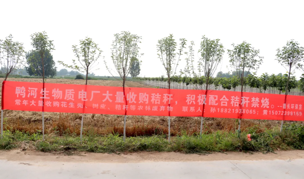 特别推荐 第383页