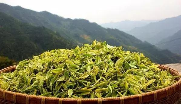 绝品强少最新章节列表