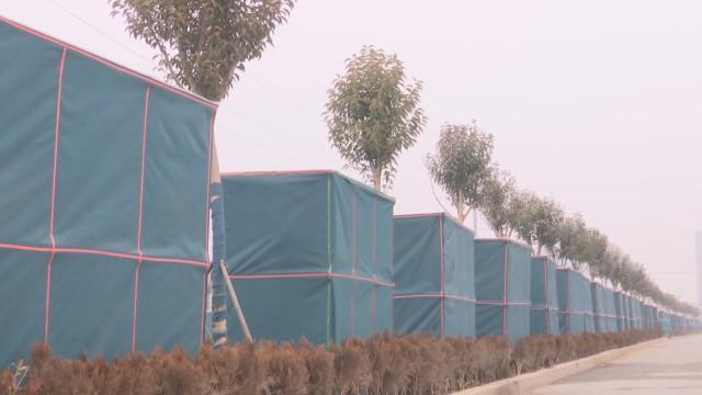 鱼台县237国道最新动态