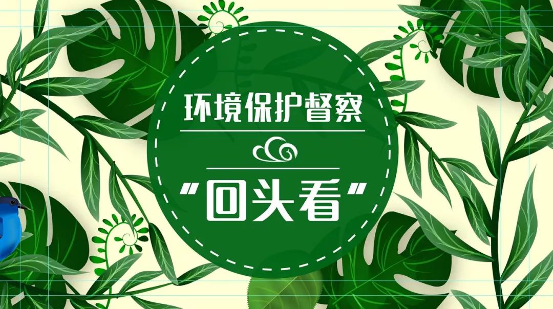 环保监督最新进展