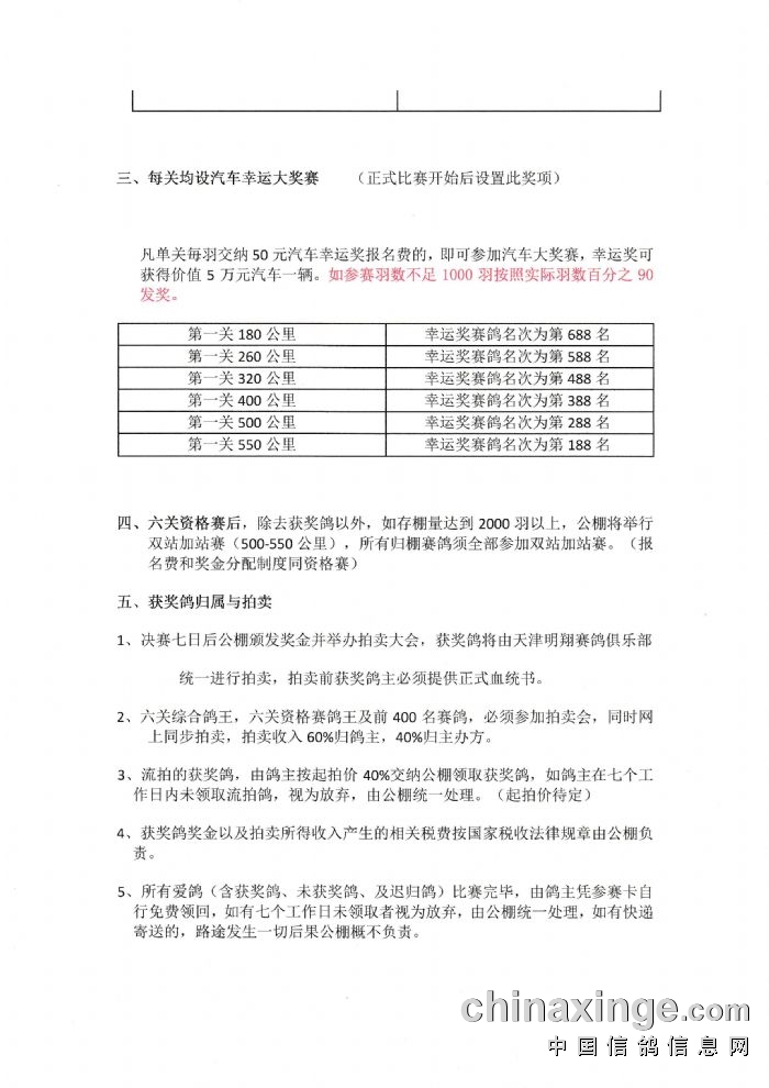 白银赛鸽公棚最新公告