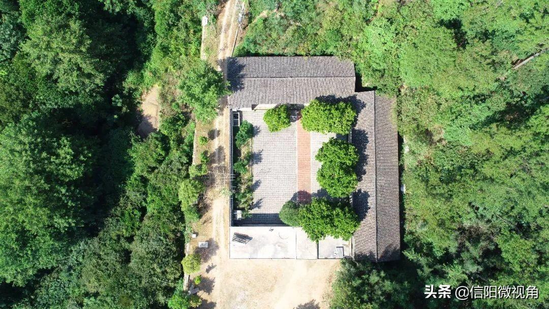 河南林场改革最新消息