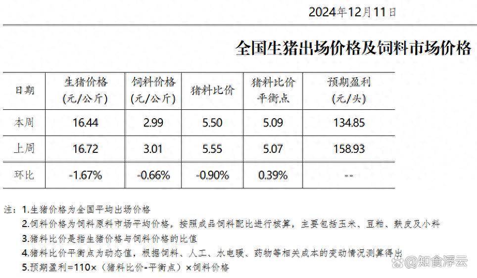 猪行情最新消息2024