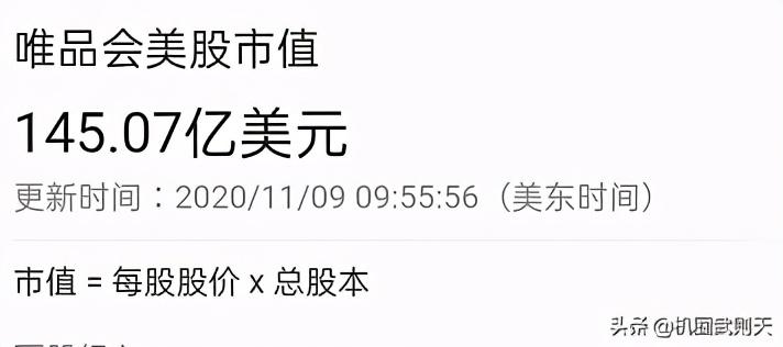 唯品会最新广告女主角