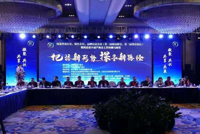 河北中茂投资最新新闻