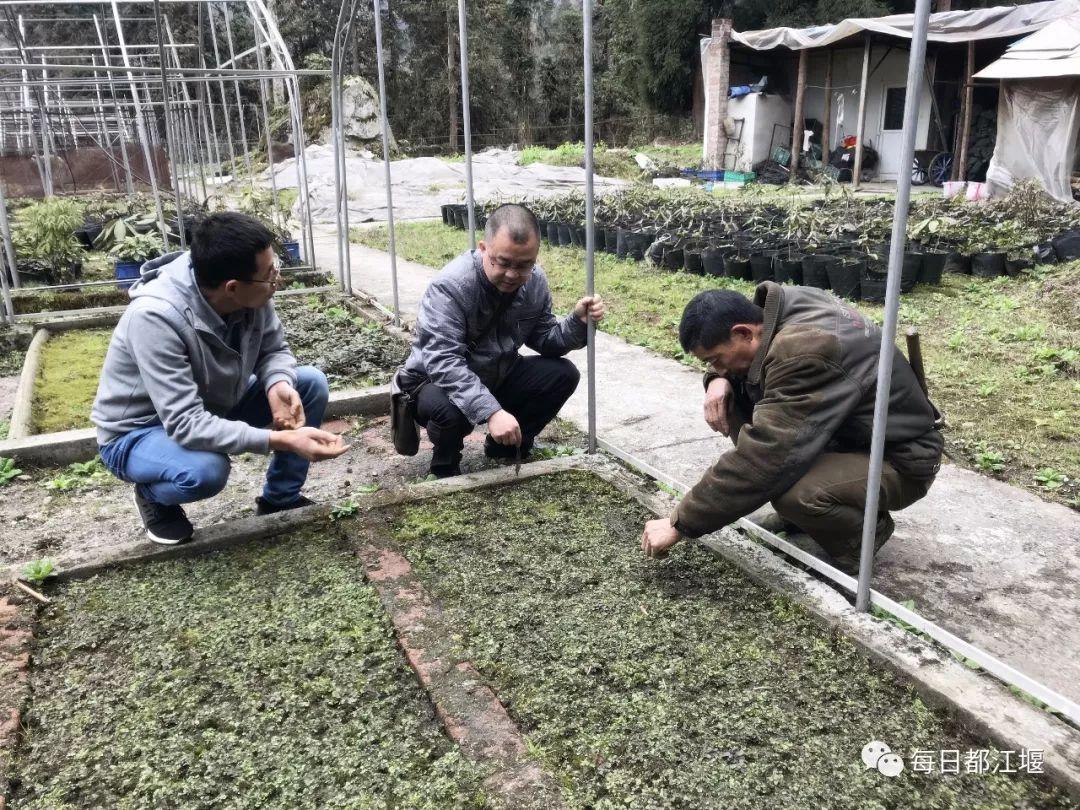 百里杜鹃最新招聘
