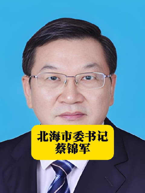 北海市最新副市长名单